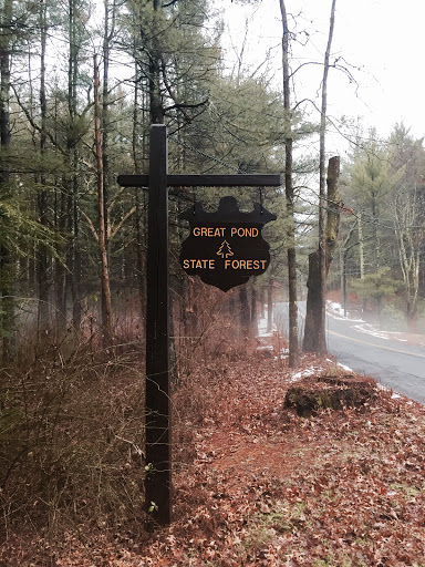 Great Pond State Forest