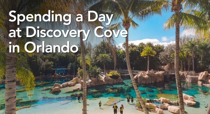 Spending a day at Discovery Cove in Orlando