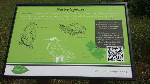 Native Species Of Piedmont Park