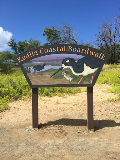 Kealia Coastal Boardwalk 