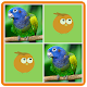 Birds Memory Match Game