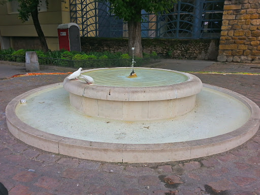 Fuente De La Malmuerta 