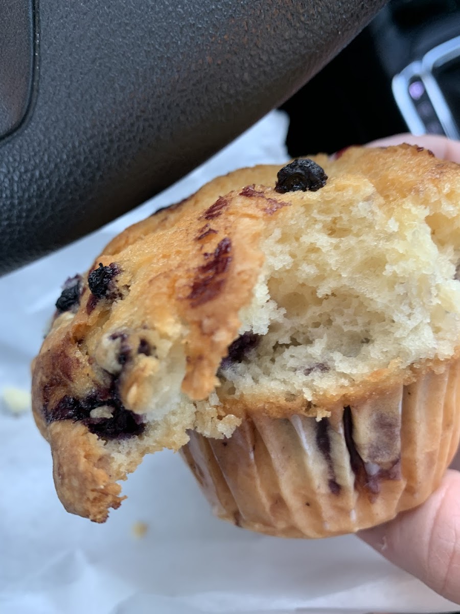 Gluten Free Blueberry Muffin