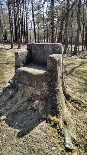 Tree Stump Throne 