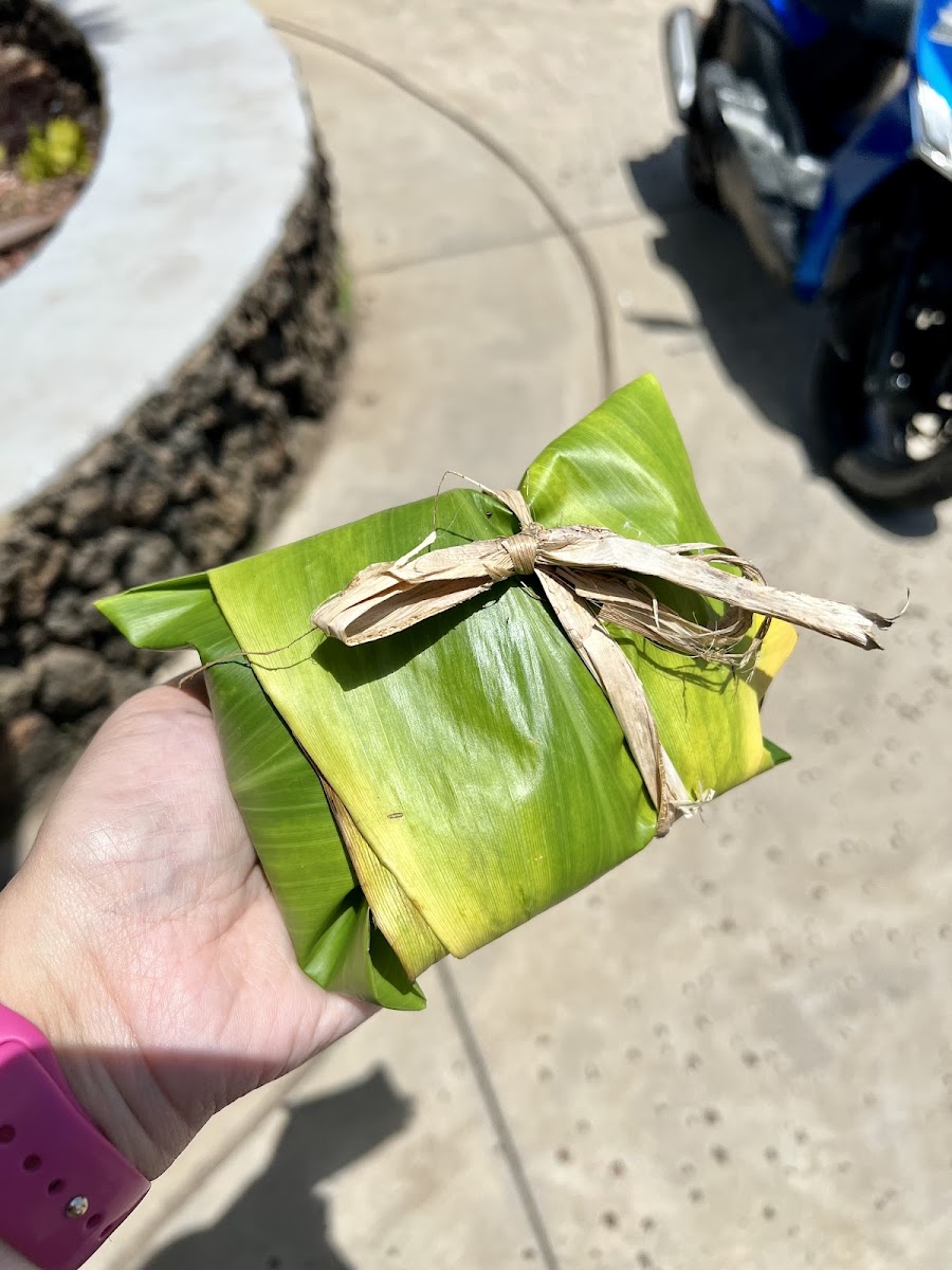 Leftovers can be wrapped in a ti leaf (otherwise they need to go in a reusable container)