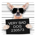 Funny Bad Dogs Live Wallpaper Apk