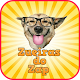 Download Animals Zueiras do Zap For PC Windows and Mac 1.0.0