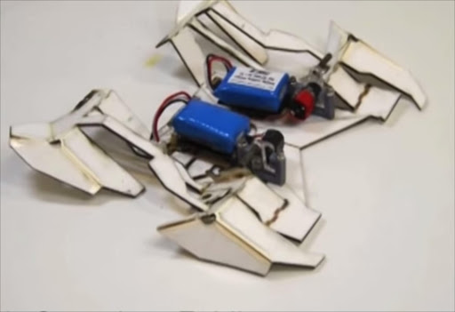 The origami robot