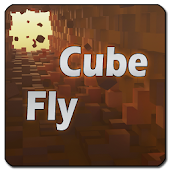 Space Cube Fly