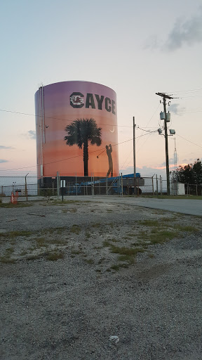 Cayce Water Tower