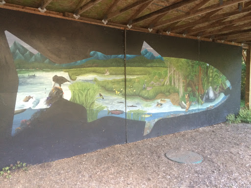 Salmon Mural