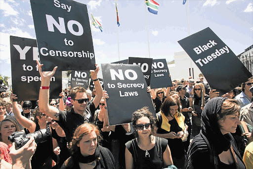 Protesters in front of parliament before the National Assembly passed the secrecy bill this week Picture: SHELLEY CHRISTIANS