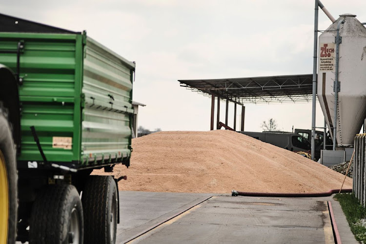 A dump of grain in the yard on a farm in Sedziejowo, Poland, on April 17 2023. Picture: BARTEK SADOWSKI/BLOOMBERG