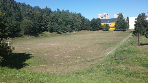 Futbolo Stadionas