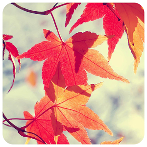 Download Autumn Photo Frames For PC Windows and Mac