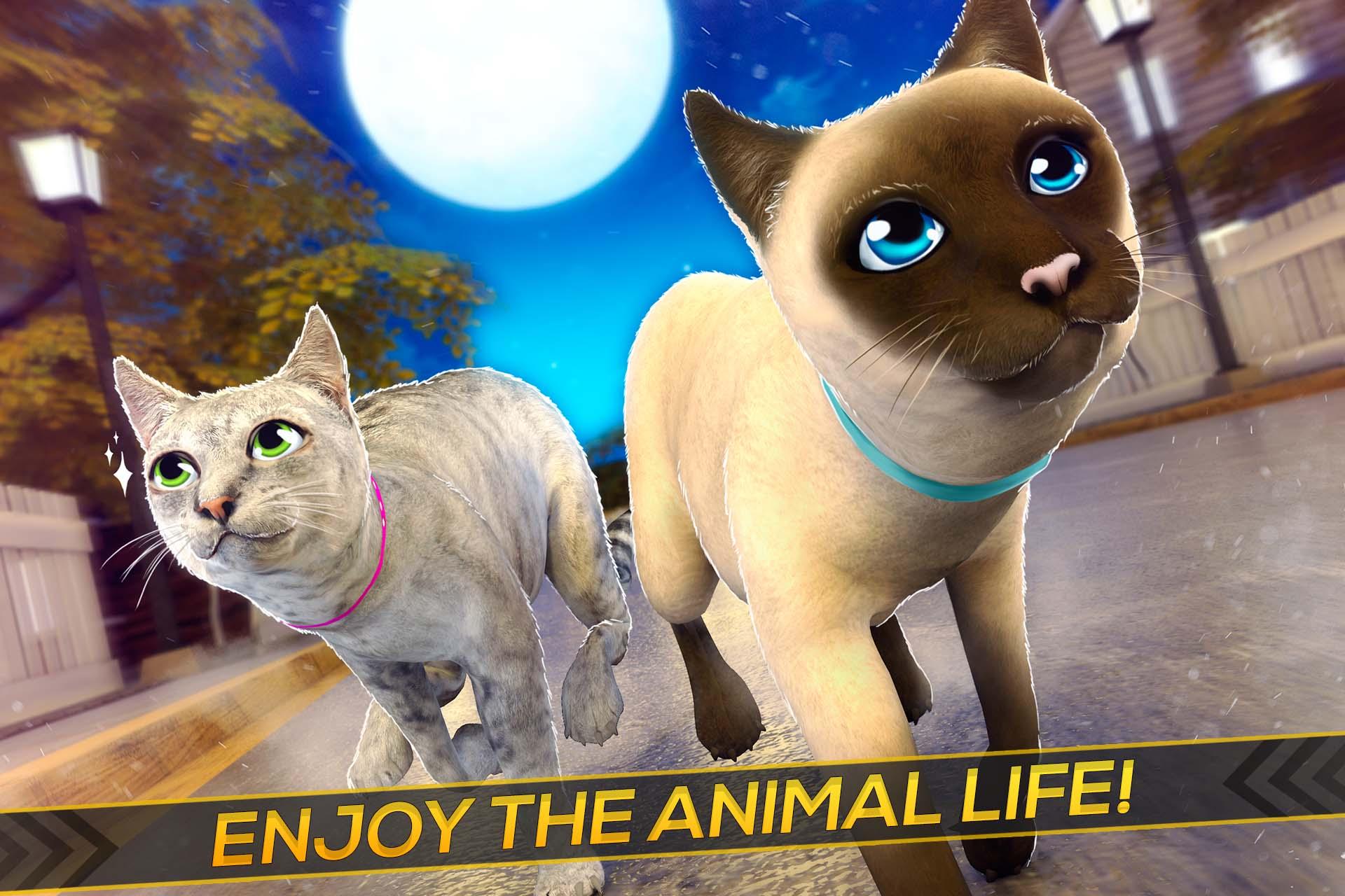 Android application Meow! Cute Kitty Cat  screenshort