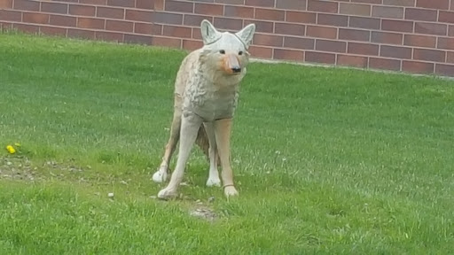 Coyote Statue