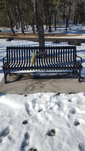 Matuseski Memorial Bench