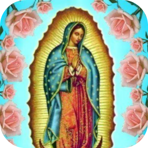 Download En Vivo Virgen de Guadalupe For PC Windows and Mac