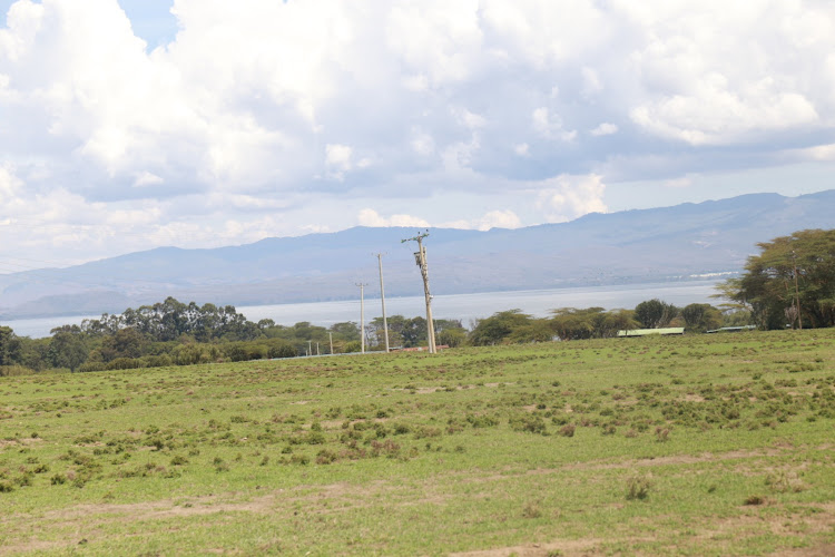 Scenic and green Lake Naivasha