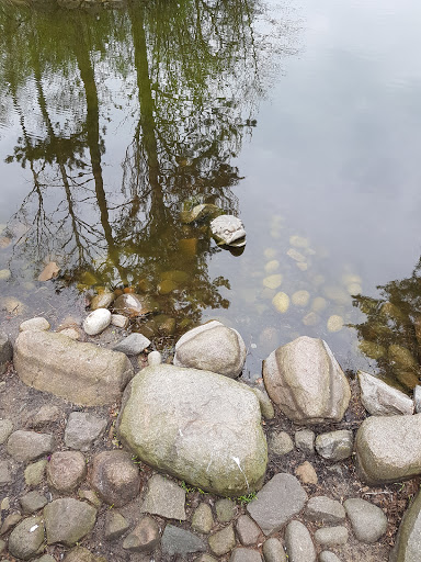 Bajkowy kamienny wąż pod wodą/