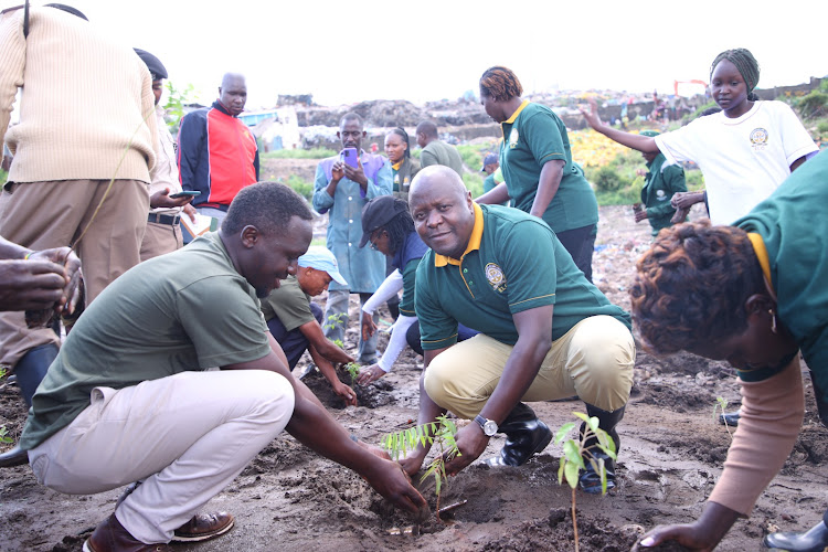 Environment and Land Court Principal Judge Oscar Angote plants a tree during the Court's open day at Korogocho on April 25, 2024.