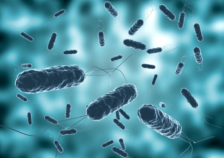 A 3D rendering of a colony of vibrio cholera seen by electron microscope. Picture: 123rf.com