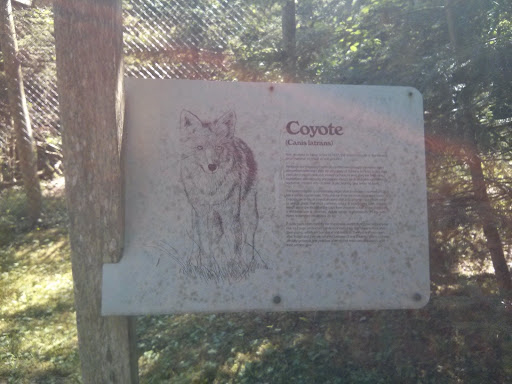 Coyote Educational Sign