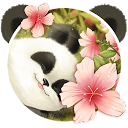 ダウンロード Cute Baby Panda Theme をインストールする 最新 APK ダウンローダ
