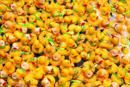 Plastic ducks. File photo.