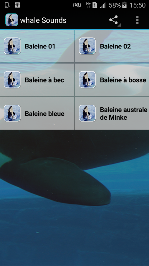 Whale Sounds — приложение на Android