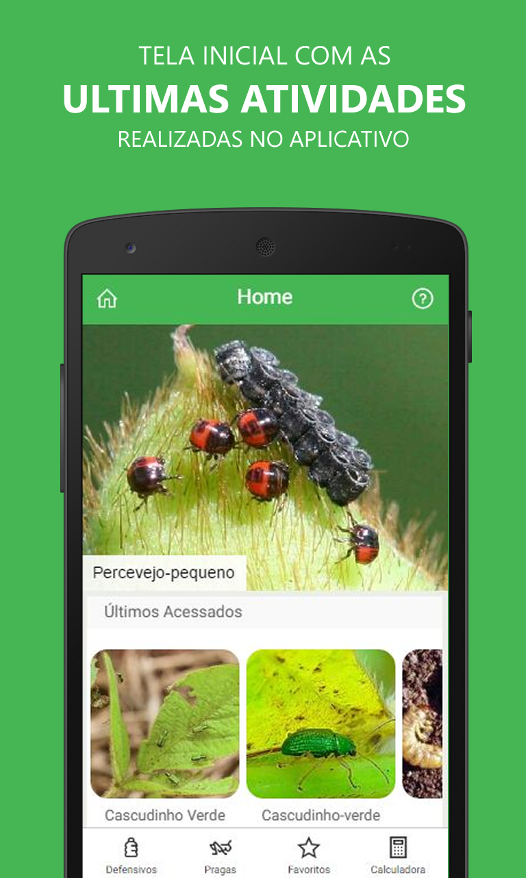 Android application Pests Chili screenshort