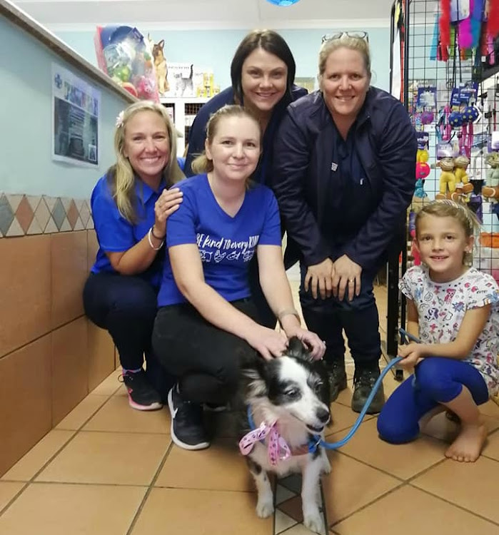 Kloof and Highway SPCA staff and Taryn O'Carol and her daughter Alix who adopted Makayla, the collie-cross-pom that had been abandoned twice.