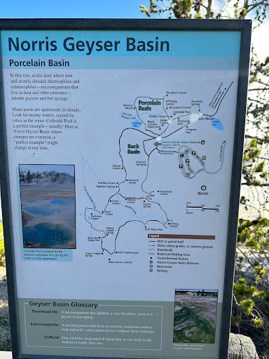Norris Geyser Basin Porcelain Basin