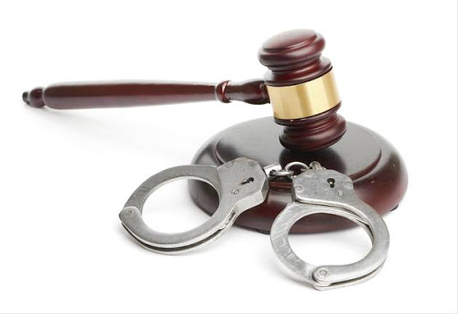 A Pretoria businessman who appeared in court on Thursday in connection with alleged fraud, money laundering and corruption amounting to R53m was released on R100,000 bail.