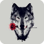 Wolf Pack 2 HD Live Wallpaper Apk