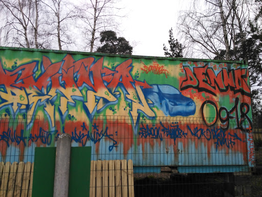 Car grafiti