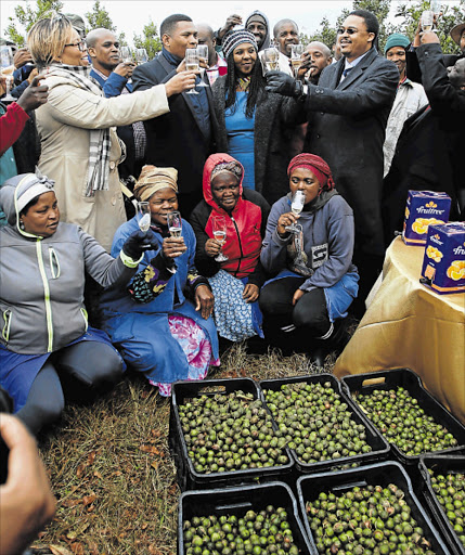 HARVEST TIME: Former minister Lindiwe Hendriks, left, MEC Mlibo Qoboshiyane, right, and Princess Nomaxhosa Jongilanga with workers Picture:MICHAEL PINYANA