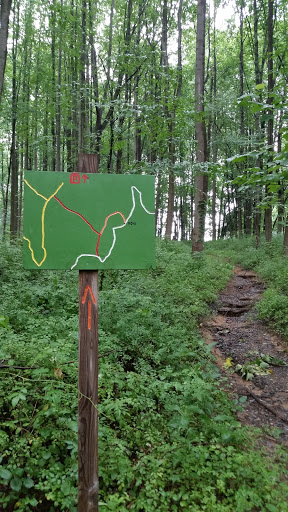 Orange and White Trail marker