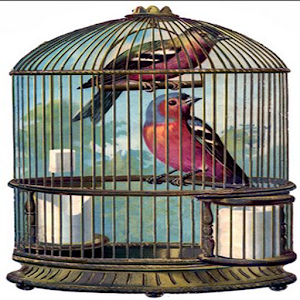 Download Bird cage For PC Windows and Mac