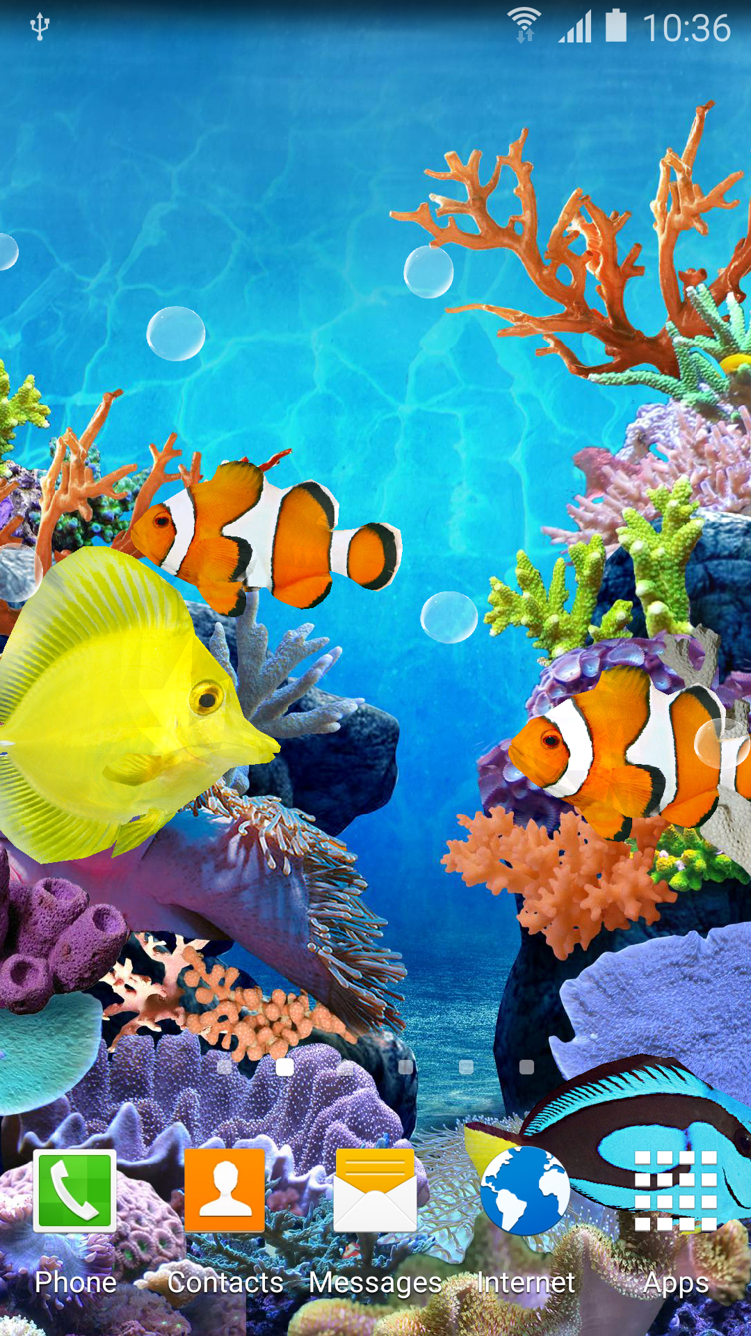 Android application Coral Fish Live Wallpaper screenshort