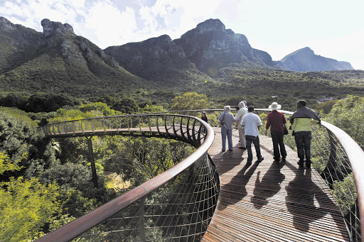 The newly opened 'Boomslang' at Kirstenbosch Botanical Gardens in Cape Town. The aerial walkway reaches about 12m above the ground and runs for 130m through the Enchanted Forest