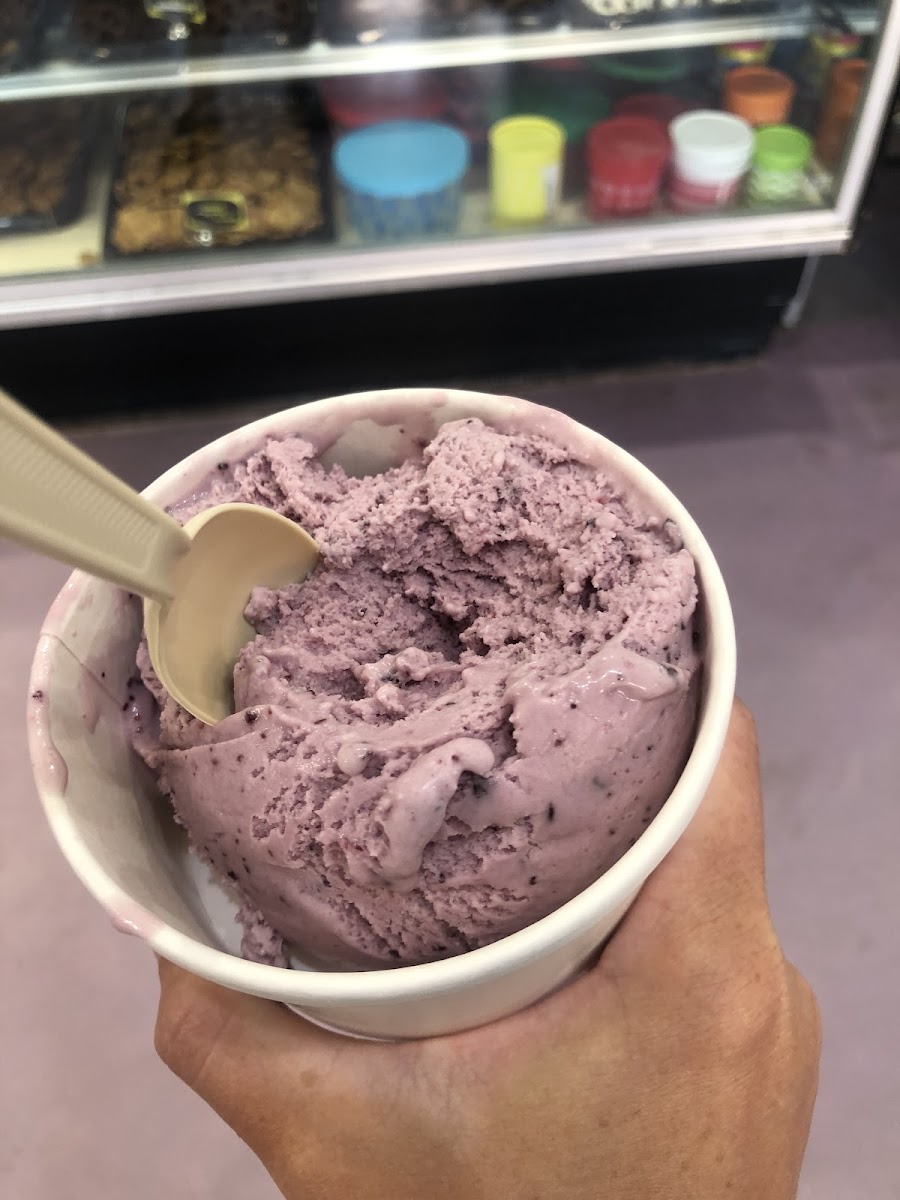 Gluten-Free Ice Cream at Moo's Gourmet Ice Cream