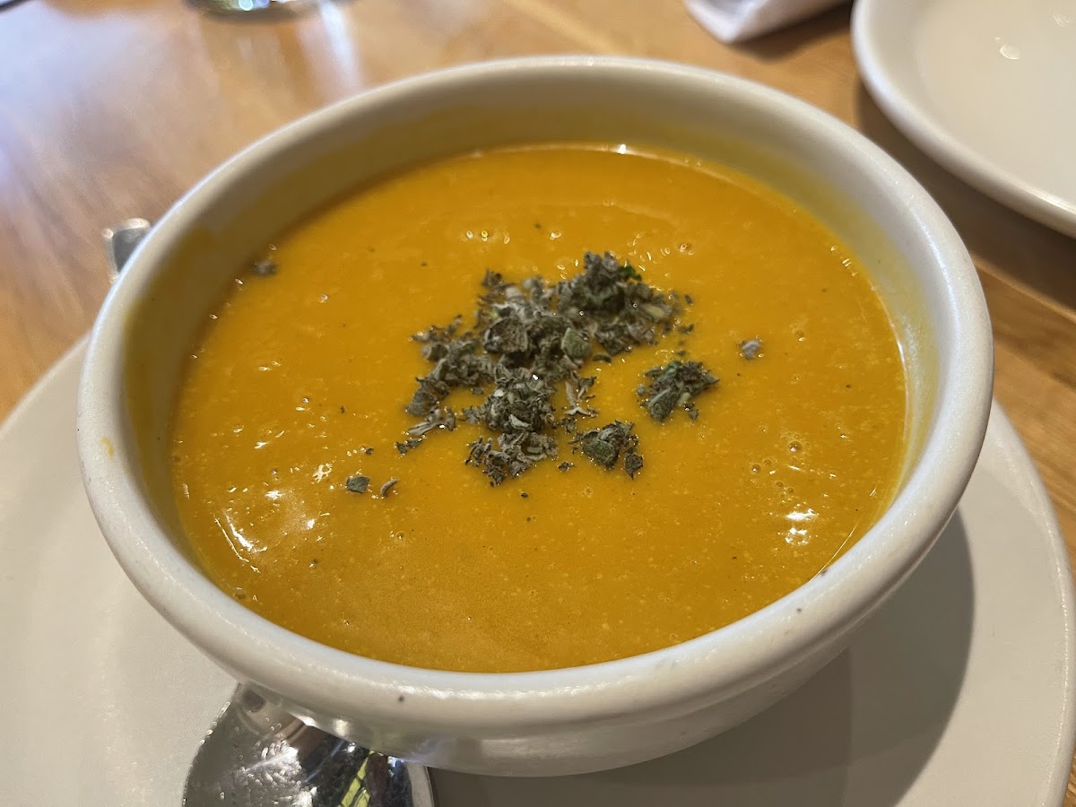 Butternut Squash Soup