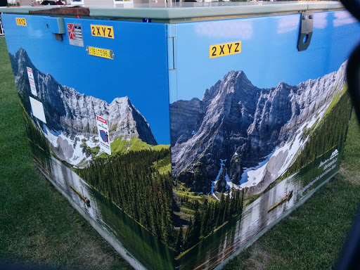 Peter Lougheed Park Mural Cube