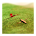 Parallax3D