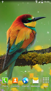 How to get Birds Live Wallpaper lastet apk for pc