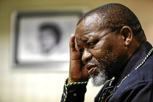 ANC national chairperson Gwede Mantashe.