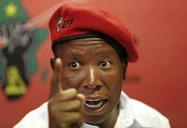 Economic Freedom Fighters leader Julius Malema's statements about land grabs have been described as an abuse of free speech.