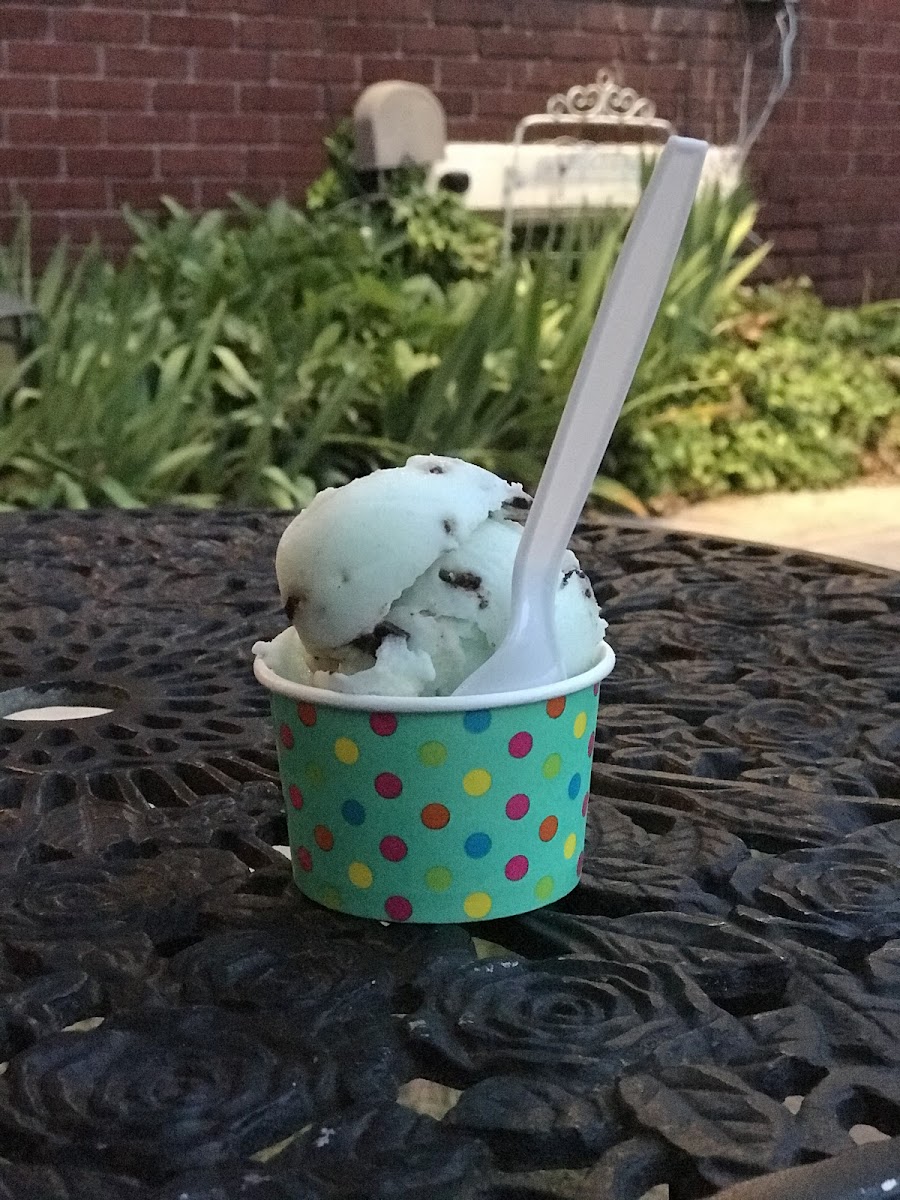 Small - Mint chip